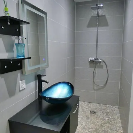 L'hacienda Swimming Pooljacuzzibeach Holiday home Charavines